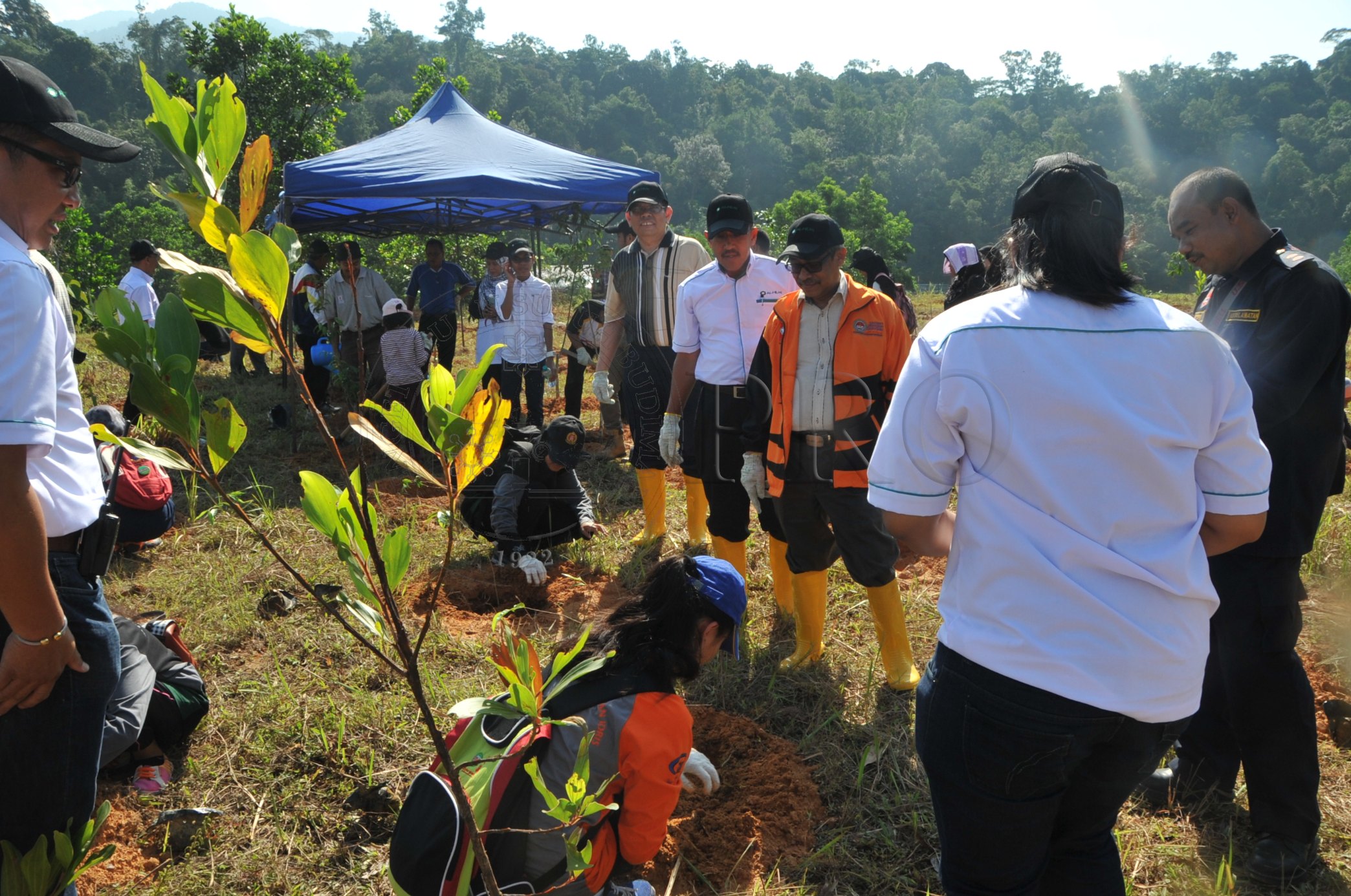 PRO 14 48 KARAS PRO 6701